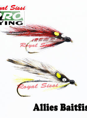 俏江村飞钓 飞蝇钓钩 Allies Baitfish三文鱼钩4# 6#湿式钩飞蝇饵