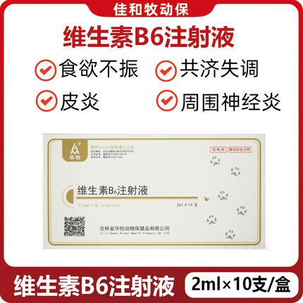 维生素b6注射液猫咪狗狗神经炎皮炎补维生素宠物食欲不振体重减轻