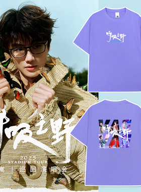 许嵩Vae同款呼吸之野演唱会周边T恤短袖应援服香芋紫纯棉落肩重磅