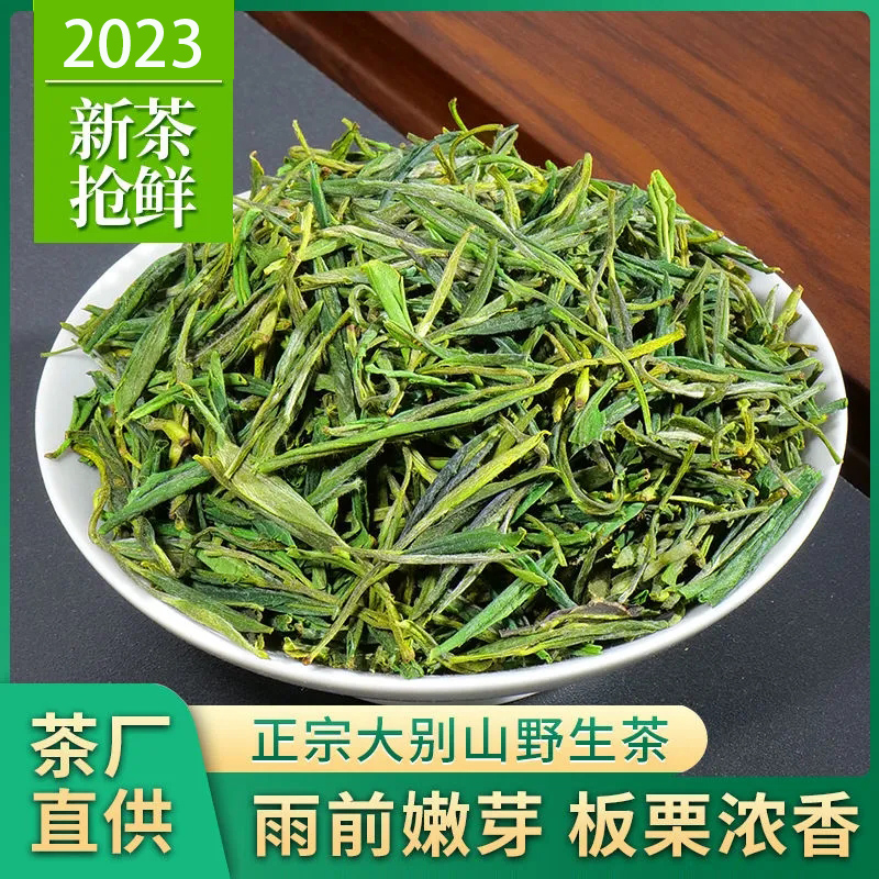 安徽金寨大别山野生绿茶2024年新茶雨前浓香型耐泡型毛峰茶叶500g