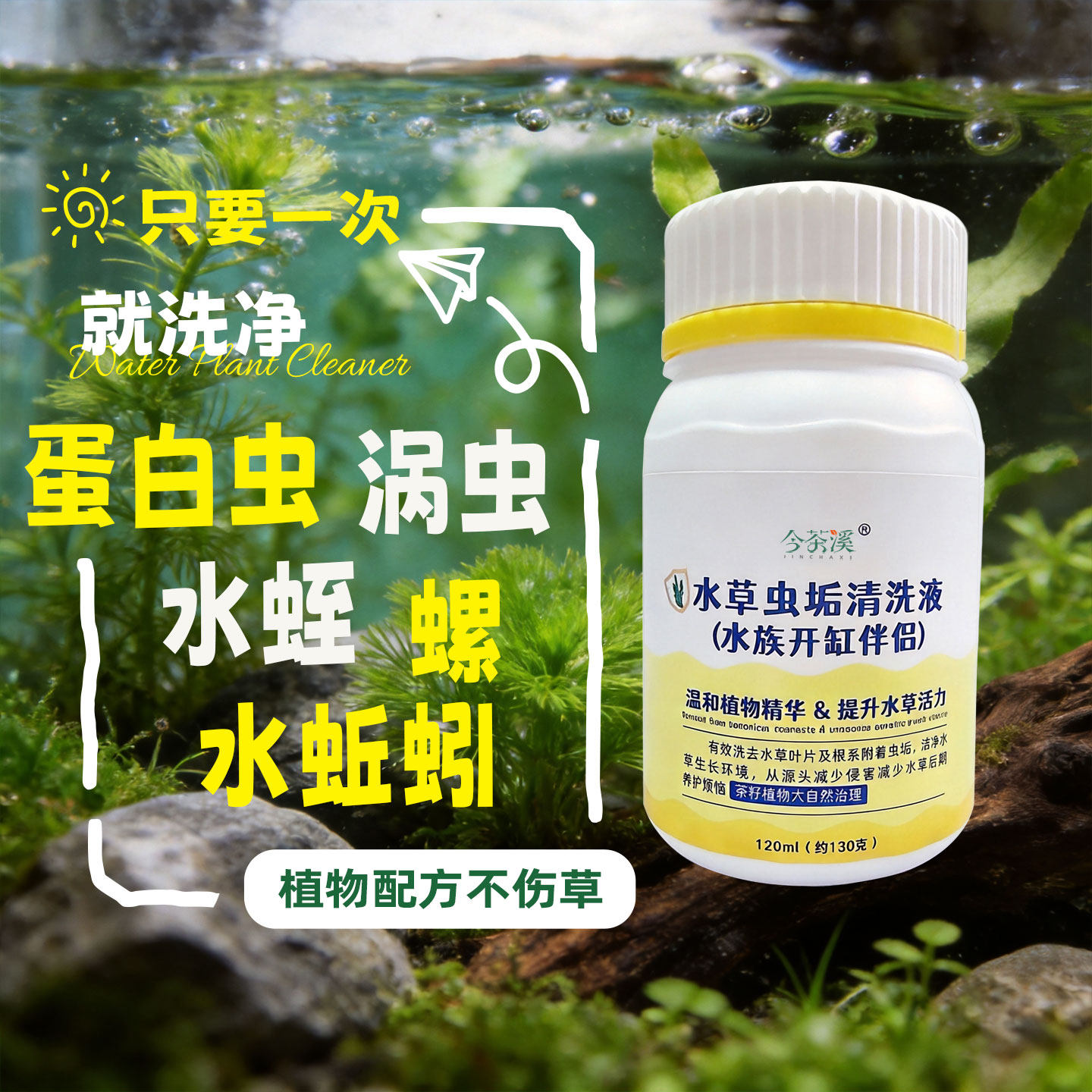 水草虫垢清洗液降低翻缸风险蛋白虫涡虫水蛭水蚯蚓隔离清洗干净