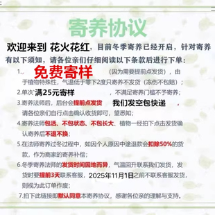 寄样请看图片须知后下单 寄样链接 花火花红I 专用直播间