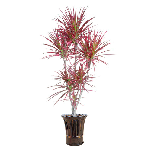 七彩铁千年木客厅阳台美观