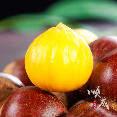 正宗嫁接锥栗苗华栗3号