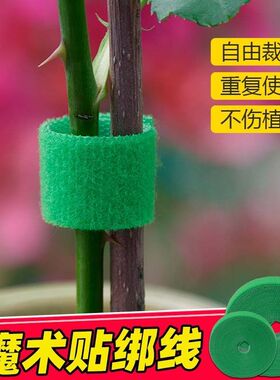 魔术贴绿植扎带捆绑绿色粘扣带不伤植物支撑固定热植绑带植物捆绑