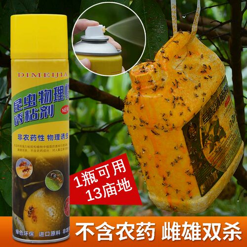 瓜果实蝇诱粘剂果蝇诱捕器神器菜园果园果树杀虫剂灭针蜂药引诱剂