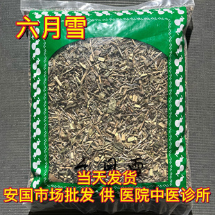 安国中药材市场 正品六月雪 白马骨满天星干货六月雪草药1000克