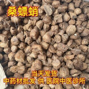 安国中药材市场批 发大棉熟桑螵蛸 螳螂子 刀螂籽500克 包邮