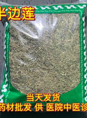 安国中药材市场 半边莲干货 半边菊 半边旗 金菊草  吹风草1000克