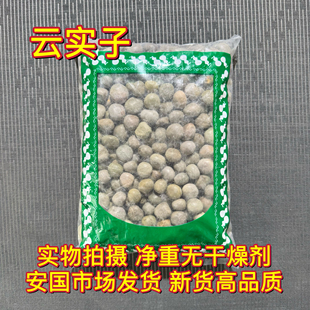 安国中药材市场 云实子 生大托叶云实籽 马豆 朝天子甲木哲新货