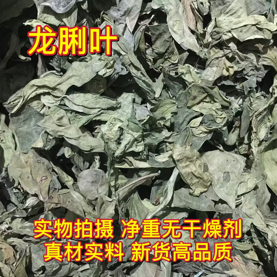 安国中药材市场 龙脷叶 晒干龙利叶龙俐叶龙舌叶龙味叶牛耳叶包邮