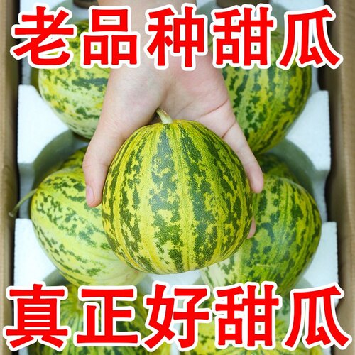 包邮东北特产八里香花姑娘香瓜新鲜花美人现摘应季时令孕妇水果
