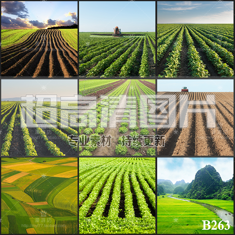 田地农田耕田耕地田垄田野田园风光自然风景jpg高清图片设计素材
