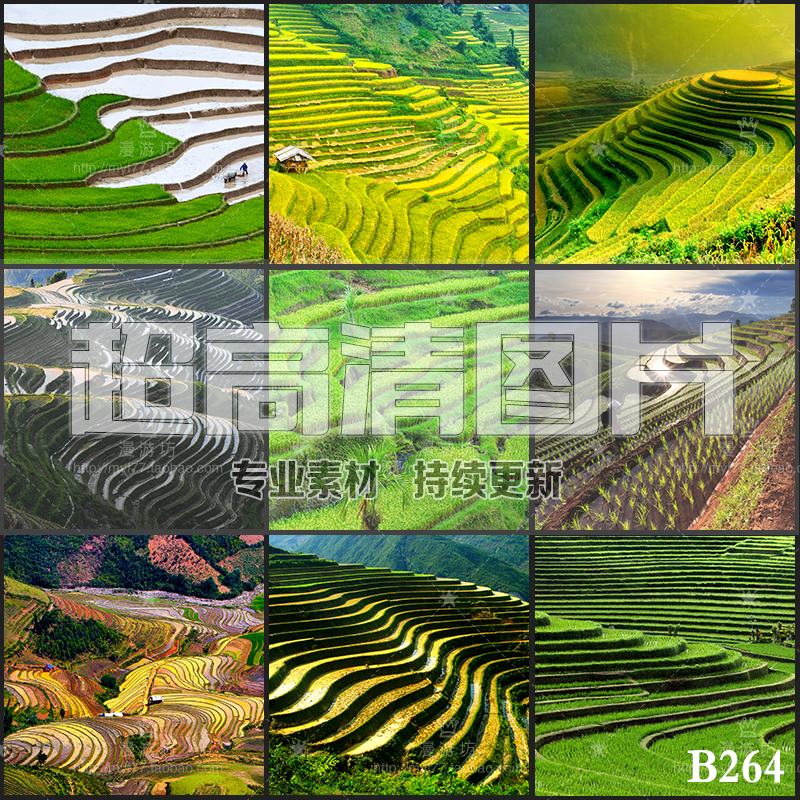 超大超高清图片梯田水田农田耕地田地自然风光风景美工设计ps素材