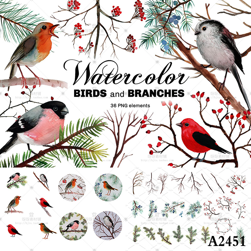 PS手绘水彩灰雀山雀唐纳雀知更鸟松树枝PNG免抠图片设计装饰素材
