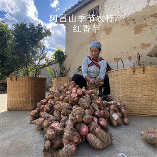 云南季节农特产新鲜芋头红香芋农家蔬菜香糯易熟芋头大小混装