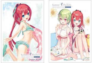 日本动漫卡套《Summer Pockets REFLECTION BLUE》卡套 现货