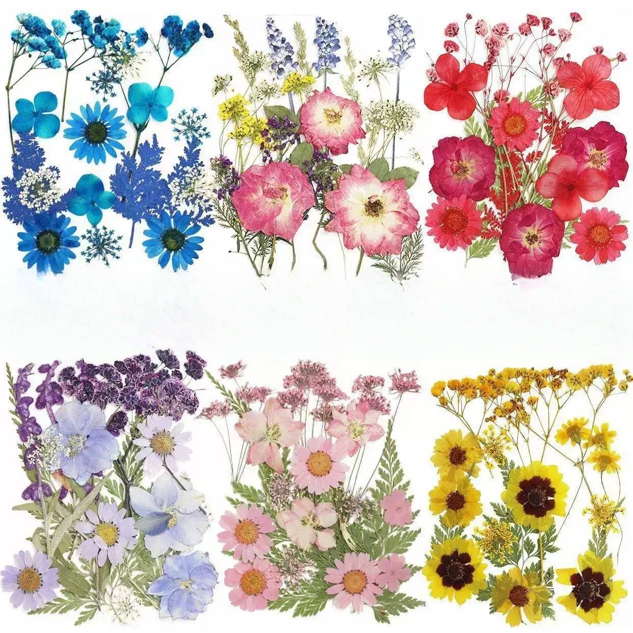 干花材料包永生花压花押花手工