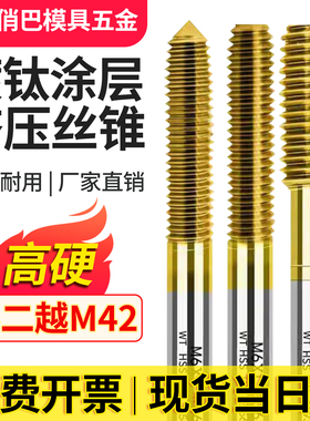 台湾原装WT挤压丝攻锥镀钛挤压丝攻机用含钴高速钢螺纹丝攻M1-M20