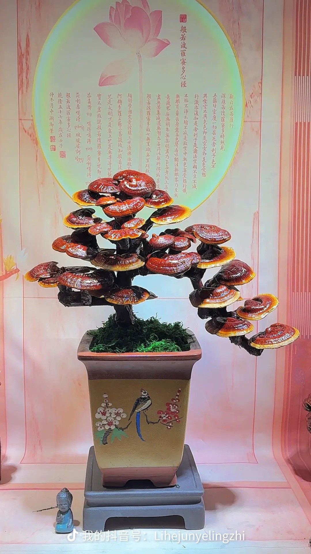 灵芝盆栽办公室观赏招财摆件开业乔迁新居送礼创意高档大灵芝盆景,鲜花速递/花卉仿真/绿植园艺,造型盆景,淘宝优惠券,粉丝福利购,淘宝优惠卷