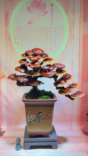 灵芝盆栽办公室观赏招财摆件开业乔迁新居送礼创意高档大灵芝盆景