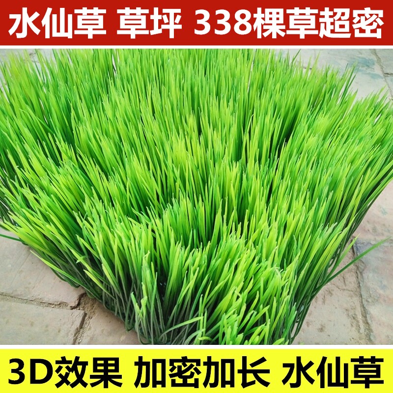 包邮仿真植物草坪 加长大号秧苗塑料草坪 绿植人造草皮墙壁装饰