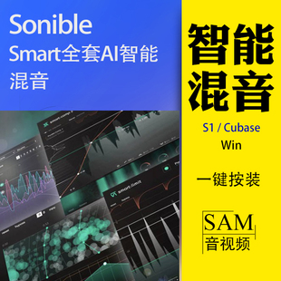 Smart全套AI智能混音VST3插件Win母带压缩EQ4去齿音