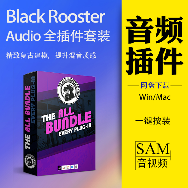 Black Rooster Audio 全插件套装 精致复古建模 提升混音质感 win