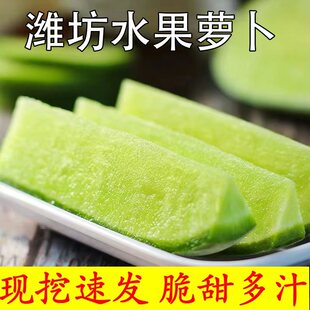 正宗潍坊水果萝卜老潍县青萝卜夏庄水果萝卜非天津沙窝萝卜脆甜