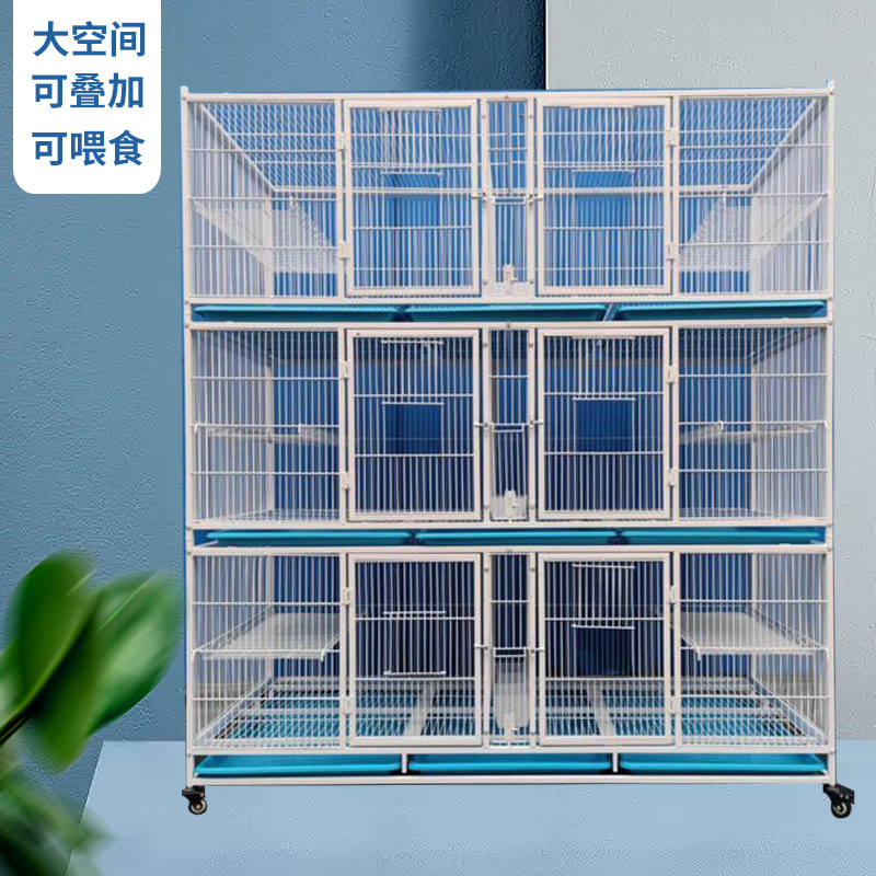 鹦鹉家用虎皮八哥繁殖鸟加密训练