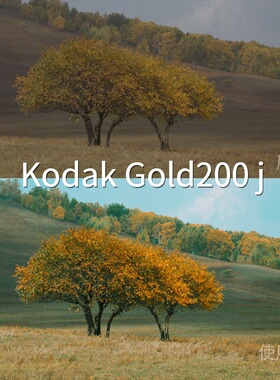 KodakGold200jLUT 安卓AppleHDRHLGFCPXVN视频剪辑REDLogFi佳能R3