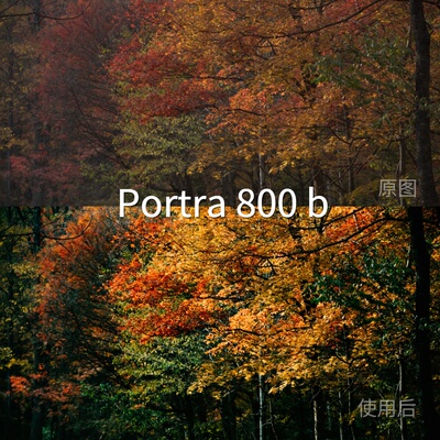 Portra800bLUT AfterEffects手机安卓GP-Log固件1.20liitL华为P60