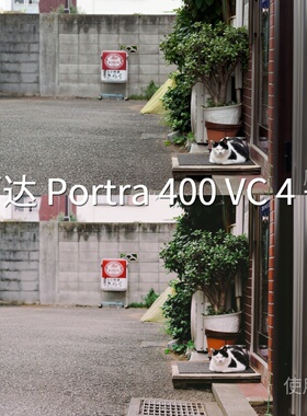 柯达Portra400VC4++LUT O-LogmacCapCutO-LogRec.709Gamma2xiaomi
