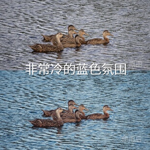 非常冷 VN视频剪辑C Log2手机D CinelikecubeReno15 蓝色氛围LUT