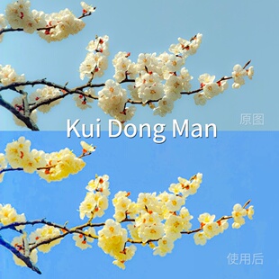 KuiDongManLUT cube平板liitPRAppleLogAEwinAppleLog2达芬Canon