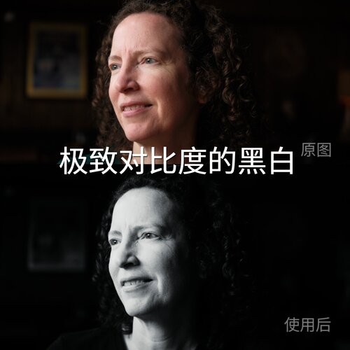 极致对比度的黑白LUT ProPremierecubeF-Log2AppleLog2LogC3DK13s - 封面