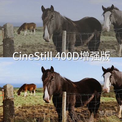CineStill400D增强版LUT O-LogDaVinciResolveO-LogRevivoXFold‌