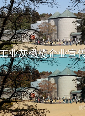 工业灰橄榄企业宣传LUT 手机AppleLog2VN视频剪辑AfterEffectARRI