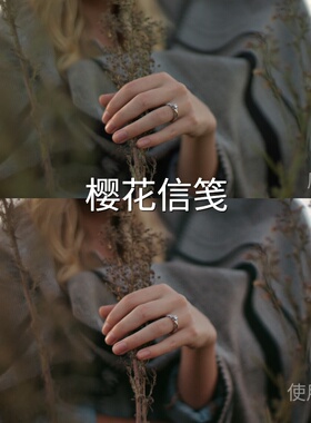 樱花信笺LUT AE航拍I-LogAcePro2系列FCPXAfterEffectsCapC佳能R8