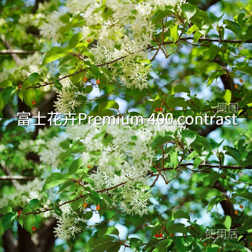 富士花卉Premium400contrastLUT HLG安卓C-Log2F-LogC-Log3LoiQOO