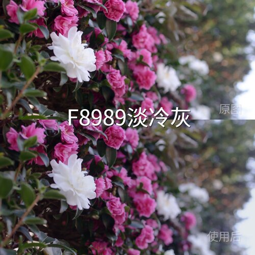 F8989淡冷灰LUT Pocket4D-LogF-Log2Action6D-LogM无人机I-Lo阿莱