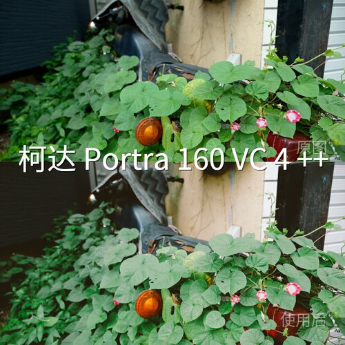 柯达Portra160VC4++LUT win航拍极影相机F-Log2iosS-Log2电脑小米