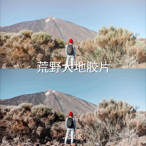 荒野大地胶片LUT Pocket4PD-LogLog3G10DaVinciResolveAvataAlpha