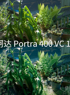 柯达Portra400VC1-LUT 达芬奇AppleLog2AfterEffects运动相机DJI