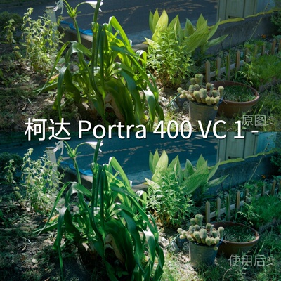 柯达Portra400VC1-LUT 达芬奇AppleLog2AfterEffects运动相机DJI