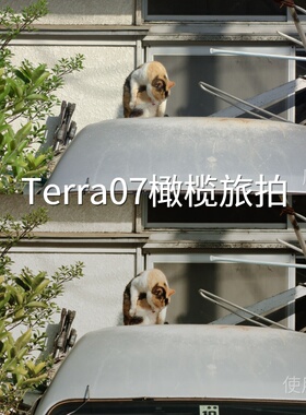 Terra07橄榄旅拍LUT C-LogcubeF-Log2O-LogRec.2020PQ1000FiAlpha