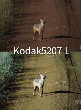 Kodak52071LUT liit达芬奇AppleLog2安卓AppleHDRHLG剪映I-LoK12s