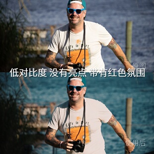 Log3GP Log固件1.20LogiQOOZ 低对比度没有亮点带有红色氛围LUT