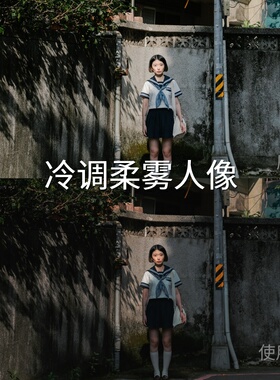 冷调柔雾人像LUT AppleLog2S-Log3D-LogPRAppleLog航拍VN视频富士