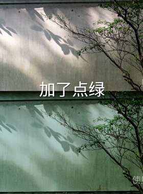 加了点绿LUT O-LogRec.709Gamma2.4AfterEffectsI-LogAcePro2尼康